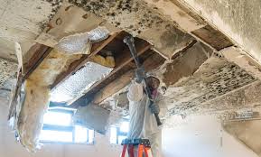 Best Water Damage & Mold Remediation  in Iceville, AL